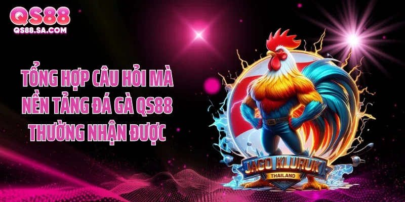 Tổng hợp câu hỏi mà nền tảng đá gà QS88 thường nhận được Tổng hợp câu hỏi mà nền tảng đá gà QS88 thường nhận được